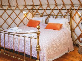 Bracken Yurt - Ukc6941 - Beaminster - 6