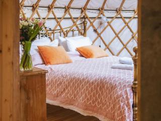 Bracken Yurt - Ukc6941 - Beaminster - 7