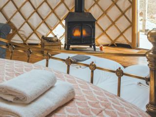Bracken Yurt - Ukc6941 - Beaminster - 3