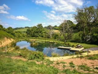 Russet Yurt - Ukc6945 - Beaminster - 9
