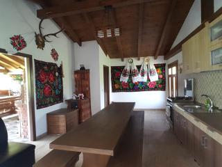 Casa Raul Borșa - 9