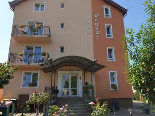 Regent Blue Crystal Pool - Oradea - 8