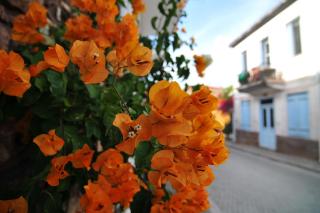 Ηouse with garden and sea view - Galaxidhion - 8