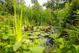 Victus Apartamenty, Villa Abrahama - Sopot - 9