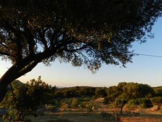 Donnigheddu - Rudalza - 2