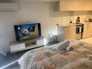 Cozy 1 BR 1 Bathroom studio - Christchurch - 9