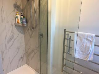 Cozy 1 BR 1 Bathroom studio - Christchurch - 1