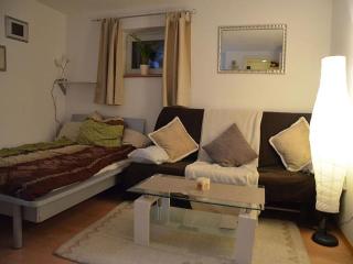 Ferienwohnung Am Berg, 35qm - Rickenbach - 9