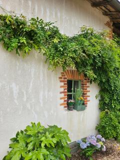 La ferme de Cruz chez Lisa - Cruzilles-lès-Mépillat - 6