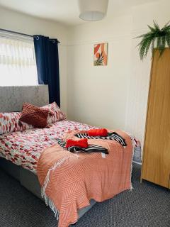 East Belfast Gem - Belfast - 8