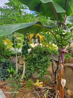 Solea Self Catering - Victoria - 3