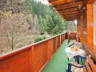 Luxurious Apartment in Heubach Germany in the Forest - Fehrenbach - 2