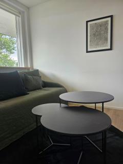 COCOMAT natural bed Free parking - Reikiavik - 9