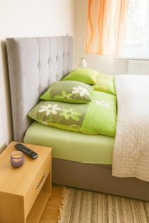 Vila u Šebestů - apartmány Volary - Volary - 1