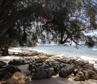 Orion Beach Retreat - Vincentia - 1