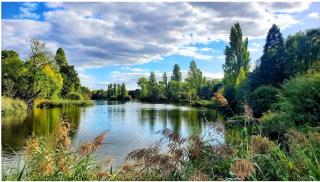 Bright & Airy Two Bed Flat in Hyde park - Londra - 3