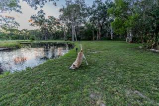 Sunnys Piece Of Paradise - 8