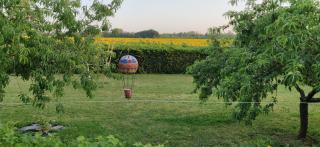 Les Gaudouines - Saint-Mathurin - 9