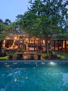 Ubud Virgin Villa - Ubud - 8
