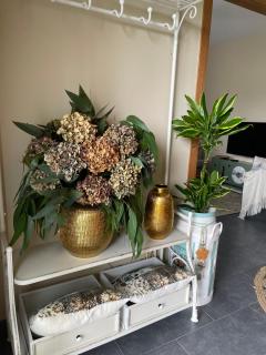 A Casa de Buxacos - 9