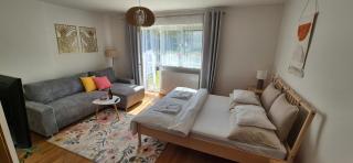 Zeus apartmán - Rajecké Teplice - 0