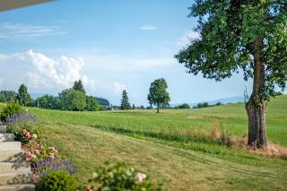 Fewo Landschaftstraum am Bodensee - Lindau - 9