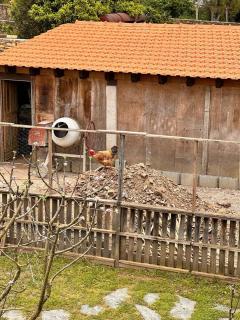 Casa do Porco - Farm Stay & Spa no Douro - 6