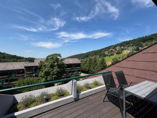 Terrassenpark Apartments (Premium Rooms) - Sasbachwalden - 2