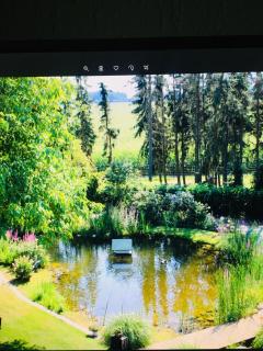 Natur pur - 4