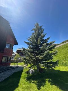 Chalet Dante Livigno - Livigno - 2
