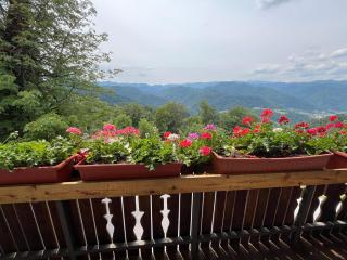 Apartma Mohorič - Idrija - 0