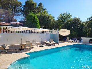 Villa SurPlace - Carcès - 8