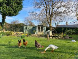 Duck House - 1 Bed Shepherds Hut - Gower - Swansea - 5