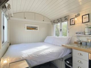 Duck House - 1 Bed Shepherds Hut - Gower - Swansea - 1
