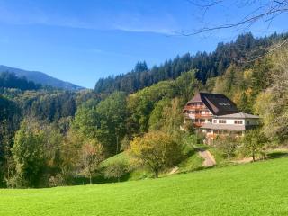 Steinweiden - Simonswald - 7