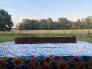 Poleskie zacisze, domek czapla na wyłączność, kominek, balia,sauna - - 9