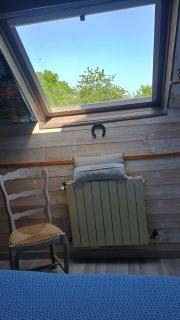 Chambre d'hôtes proche du PAL-Badiane- - Saligny-sur-Roudon - 3