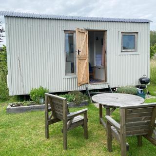 Doris - Wedmore - 1