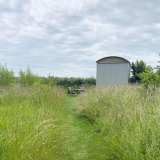 Doris - Wedmore - 7