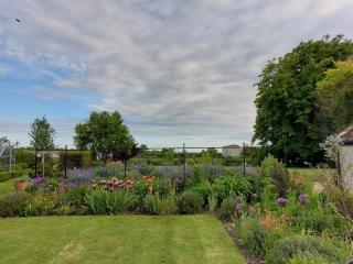Daphne - Wedmore - 1