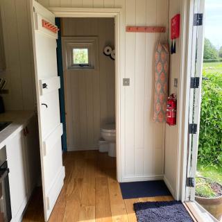 Daphne - Wedmore - 4