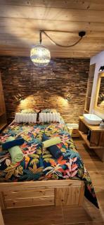 Appartement Lac de Vonnes Chatel - Châtel - 8