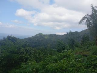 WR Cottage - Worho Rhena - Ende - 5