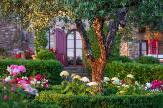 Villa la Corte by Mmega - Fattoria Montecchio - 3