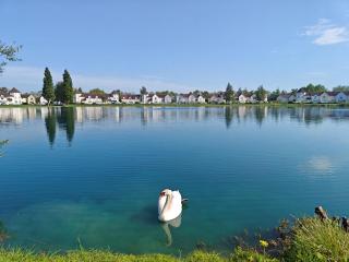 3 Bed in Cirencester HIC02 - South Cerney - 9