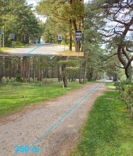 Pušynas - Palanga - 7