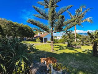 Quinta do Ananás Pineapple Farm - São Roque - 9