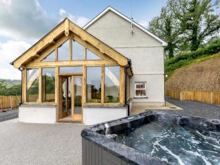 4 Bed in New Quay 78801 - Llandyssiliogogo - 9