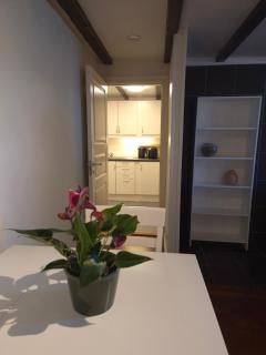 Cozy downstairs apartment in Tromsø - 4
