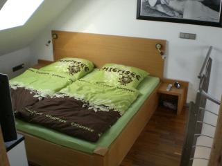 Beautiful studio apartment - Nordhausen - 8